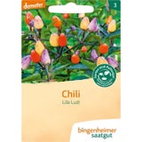 Bingenheimer Saatgut Chilli "Lila Luzi"