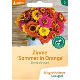Bingenheimer Saatgut Cinija "Sommer in Orange"