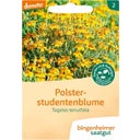Bingenheimer Saatgut Polsterstudentenblume - 1 Pkg