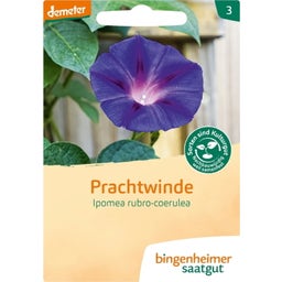 Bingenheimer Saatgut Prachtwinde/Kaiserw. - 1 Verpakking