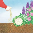 Fertilizzante Universale BIO a Lenta Cessione con Lana di Pecora - 2 kg