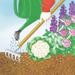Fertilizzante Universale BIO a Lenta Cessione con Lana di Pecora - 2 kg