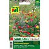 Blumenmischung "Landblumen Sommer" im Saatband