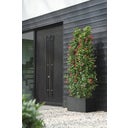elho Jardinière VIVO NEXT Longue - 80 cm - Living Noir