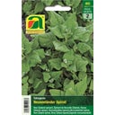 Spinach- 