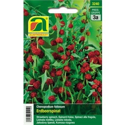 AUSTROSAAT Aardbeispinazie - 1 Verpakking