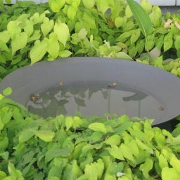 ADEZZ Wasserschale aus Stahl