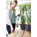 elho Vaporisateur BRUSSELS 0,7 L