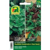 AUSTROSAAT Basil- "Siam Queen" & "Cinamonette"