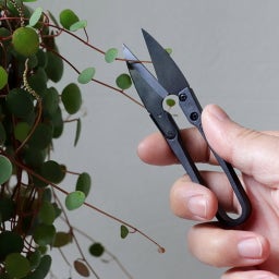 Mini Tijeras para podar Bonsáis - The Good Snips - 1 pieza