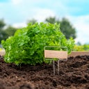 Kit de Poinçons pour Étiquettes de Plantes - 1 kit