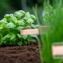 Kit de Poinçons pour Étiquettes de Plantes - 1 kit