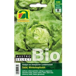 Bio šalát hlávkový 