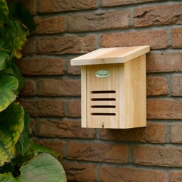 Esschert Design Lieveheersbeestje Huis - 1 stuk