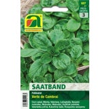 AUSTROSAAT Saatband Feldsalat "Verte de Cambrai"
