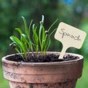 Own Grown Set of 60 Wooden Plant Labels - 1 Set