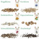 Own Grown Delikatess-Blüten 6er Saatgut-Set - 1 Set