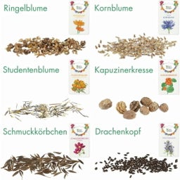 Own Grown Delikatess-Blüten 6er Saatgut-Set - 1 Set