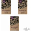 Magic Garden Seeds Asparagus Varieties Seed Set - 1 Set
