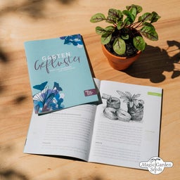 Magic Garden Seeds Superhrana - komplet semen - 1 set.
