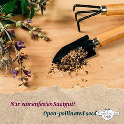 Magic Garden Seeds Verdure per Balcone - Set di Semi - 1 set