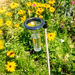 Windhager Pluviometro Memory - 1 pz.