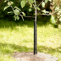 Windhager Beschermingsrooster voor Bomen - 2 stuks