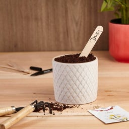 Own Grown Növényjelölő 50 db-os szett tollal