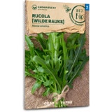 Samen Maier Bio rukola "Wilde Rauke"