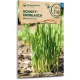 Samen Maier Bio Schnitt-Knoblauch