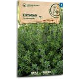 Samen Maier Bio Thymian