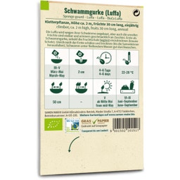 Samen Maier Bio Schwammgurke