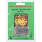 TROPICA Echter Tigerrachen