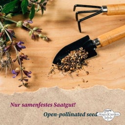 Magic Garden Seeds De Heetste Pepers ter Wereld - Zaadset