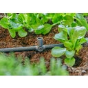 T-kus Micro-Drip-System pre rozprašovacie trysky/koncové kvapkače 4,6 mm (3/16