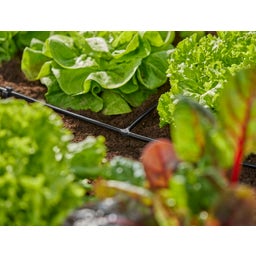 GARDENA Micro-Drip-System T-Stück 4,6 mm (3/16