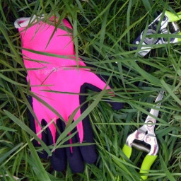 Burgon & Ball Pink Gardening Gloves - S/M