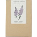 Antirrhinum majus 