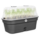 elho green basics grow tray allin1 - M - Nero