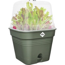 green basics kweekpot vierkant allin1, 15 cm - bladgroen