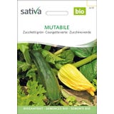 Sativa Courgette Verte Bio "Mutabile"