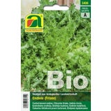 AUSTROSAAT Bio Endivie Wallone (Frisée)