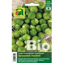 AUSTROSAAT Chou de Bruxelles Bio 