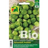 AUSTROSAAT "Groninger" Bio bimbós kel