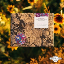 Piante Perenni e Fiori Estivi Bio - Set di Semi