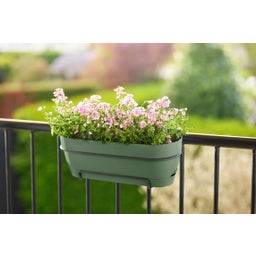 Skrzynka balkonowa vibia campana allin1 50 cm - pistacjowa zieleń