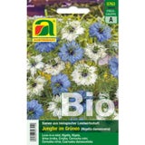 Bio czarnuszka damasceńska - Nigella damascena "blau & weiss"