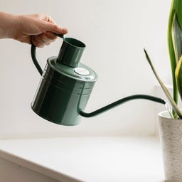 Kent & Stowe Krhla 1 l - green