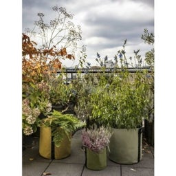 BACSAC Bolsa para Plantas 