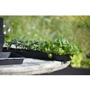 Nelson Garden Anzuchtschale Solid 14 x 68 cm